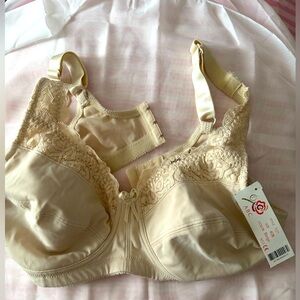 ABC American Breast Style 101 Beige Lacey pocketed bra - NWT - Size 40B